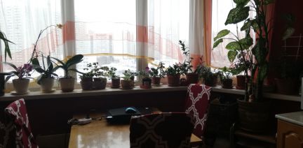 ������ �������� ����� ������� 62�3 (���� �14)