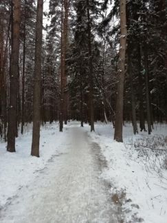������ �������� �. ��������� �. 20�1 (���� �4)