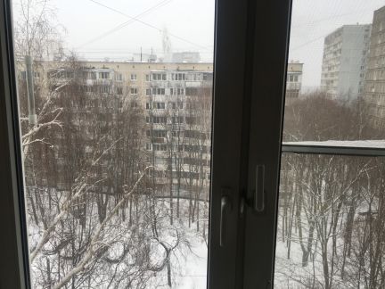 ������ �������� ������������ ����� 24�2 ������� 1 (���� �14)
