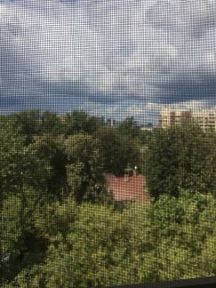 ������ �������� ����� ������������ ����� ������������ ��� 24 (���� �10)