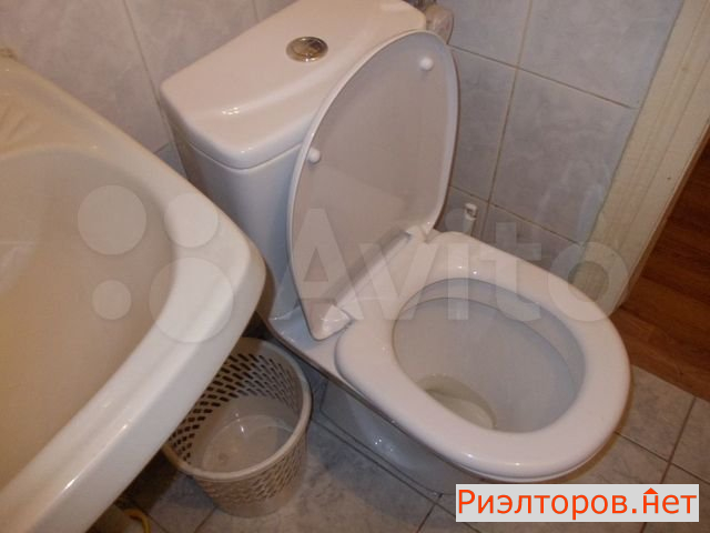 ����� �������� (���� �20)