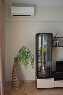 ����� �������� ����� ��������� 12 (���� �7)