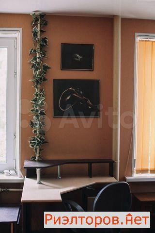����� �������� ����������� ����� 10�1 (���� �10)