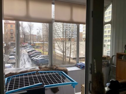 ������ �������� ������� 22 (���� �15)