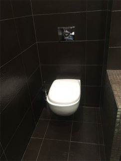 �� ��� ������ ������ (���� �12)